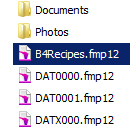 FM Version